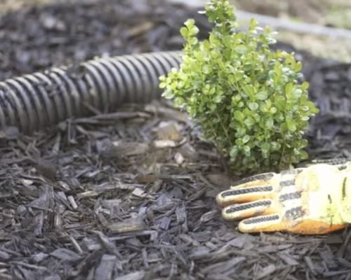ELG Lawn Care Services crew mulching and maintaining a residential lawn