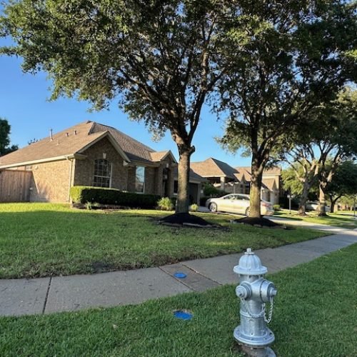 elglawcareservices-yardproject-after-sod