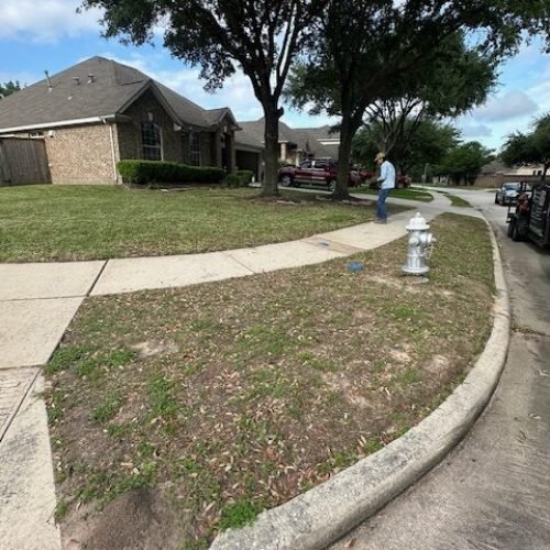 elglawcareservices-yardproject-before-sod